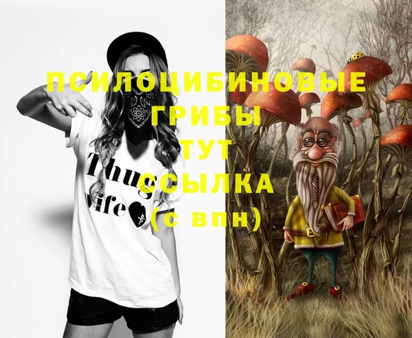 молекула духа Баксан