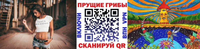 Галлюциногенные грибы ЛСД  гидра ссылки  Горнозаводск 